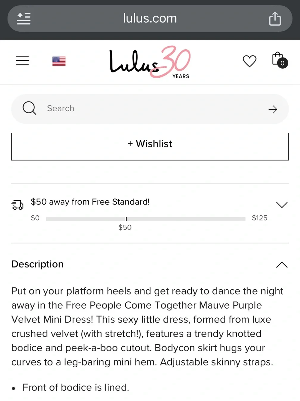 Free People Velvet Party Dress